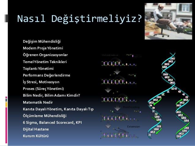 Kestane, kelimeleri tanımlamak zor bir renktir Kestane, kelimeleri tanımlamak zor bir renktir